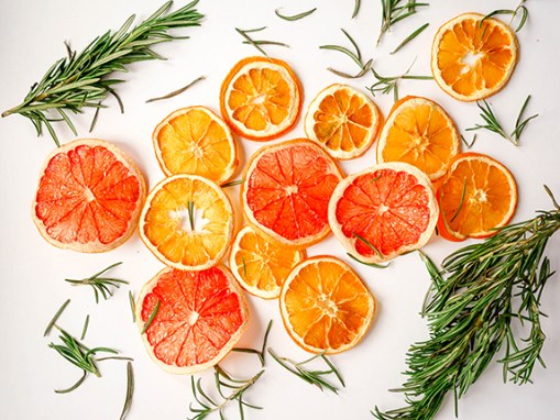orange color palette maker