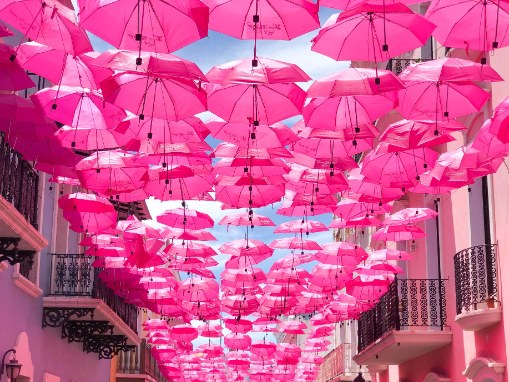 pink color palette maker
